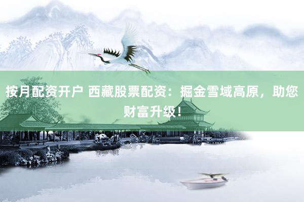 按月配资开户 西藏股票配资：掘金雪域高原，助您财富升级！