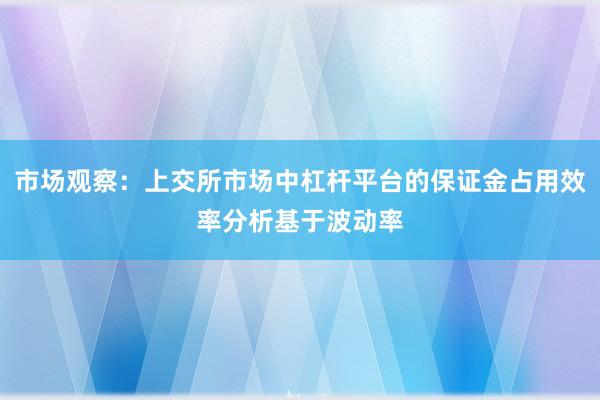市场观察：上交所市场中杠杆平台的保证金占用效率分析基于波动率